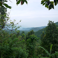 Photo de Bali - Autour de Munduk